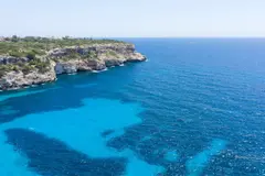 Baleares inicia vigilancia de posidonia con 20 barcos para proteger el Mediterráneo