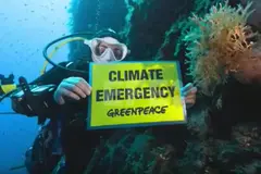 Greenpeace alerta sobre el calentamiento marino en Italia y su impacto en ecosistemas