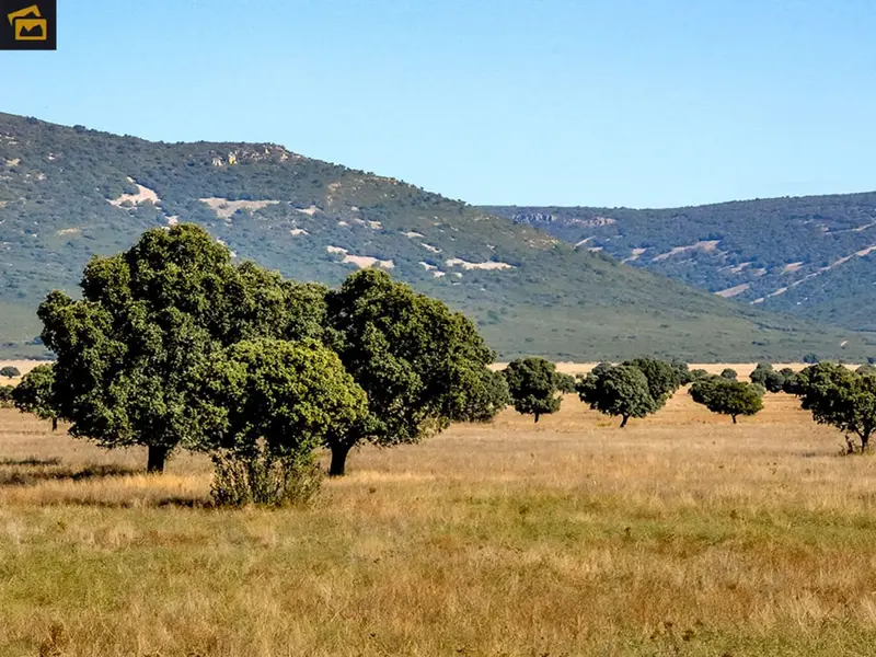 Más de 14 millones para la conservación del Parque Nacional de Cabañeros