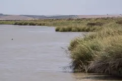 La conexión entre desarrollo humano y naturaleza según María Gálvez