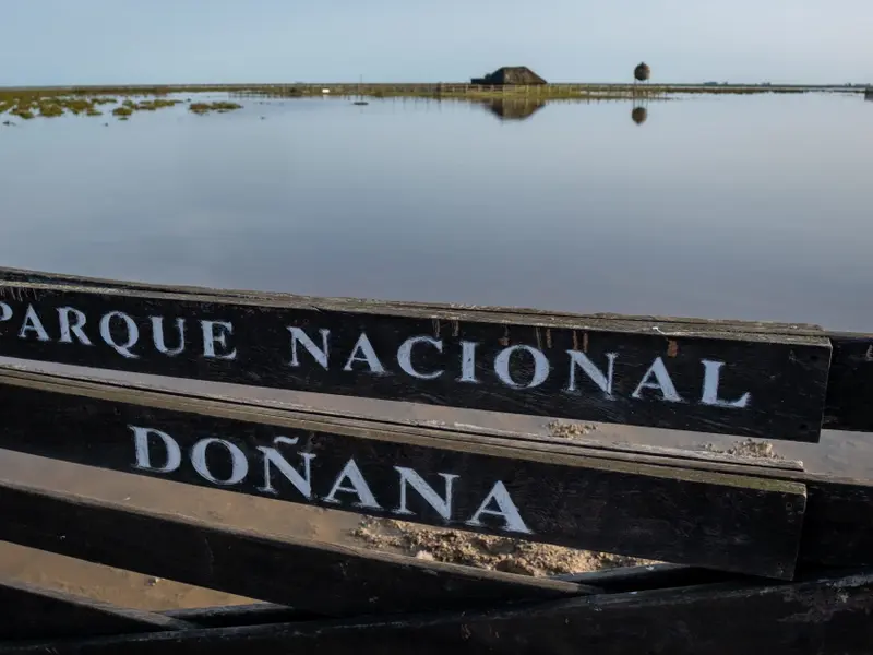 WWF exige recuperar marismas para restaurar equilibrio en Doñana