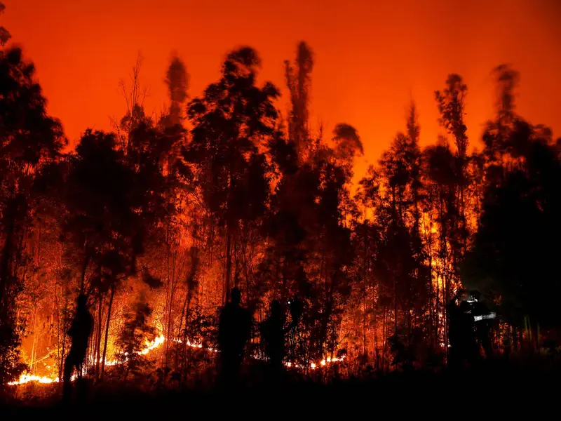 Megaincendios en Extremadura: un creciente riesgo por cambio climático y abandono rural