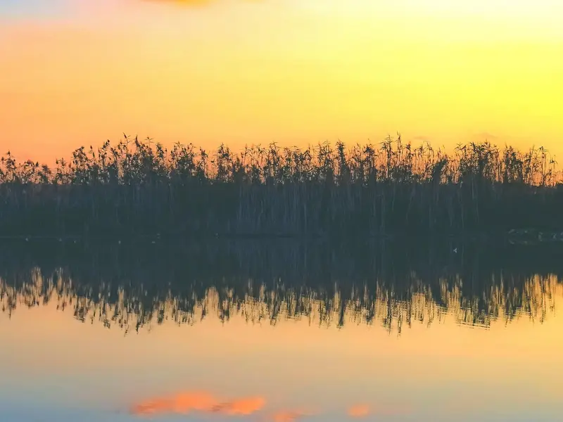 WWF se opone a eliminar restricciones de riego en Doñana por riesgo al acuífero