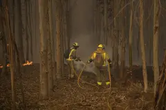 España enfrenta un aumento alarmante de incendios forestales ante una ola de calor