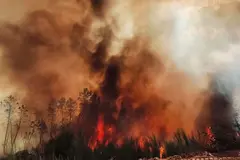Incendios forestales: retos y aprendizajes para la próxima temporada