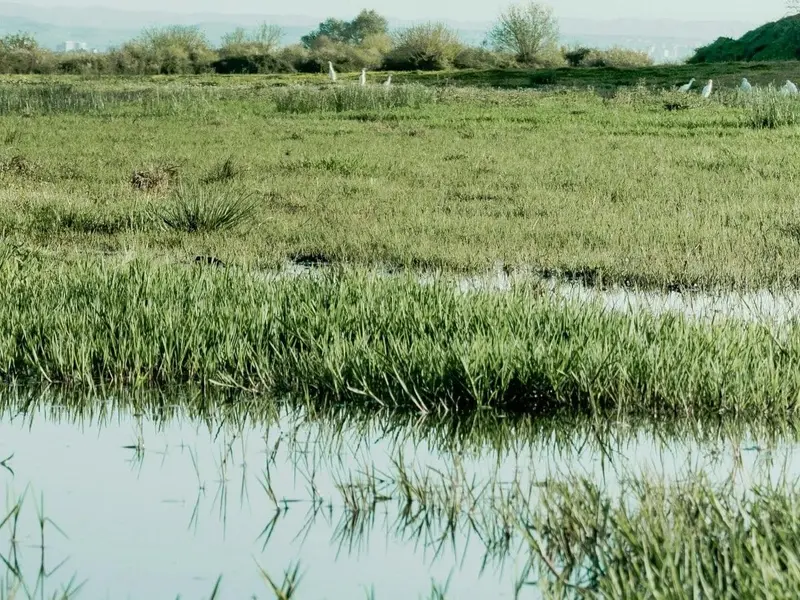 El Gobierno apuesta por restaurar acuíferos para salvar las Tablas de Daimiel