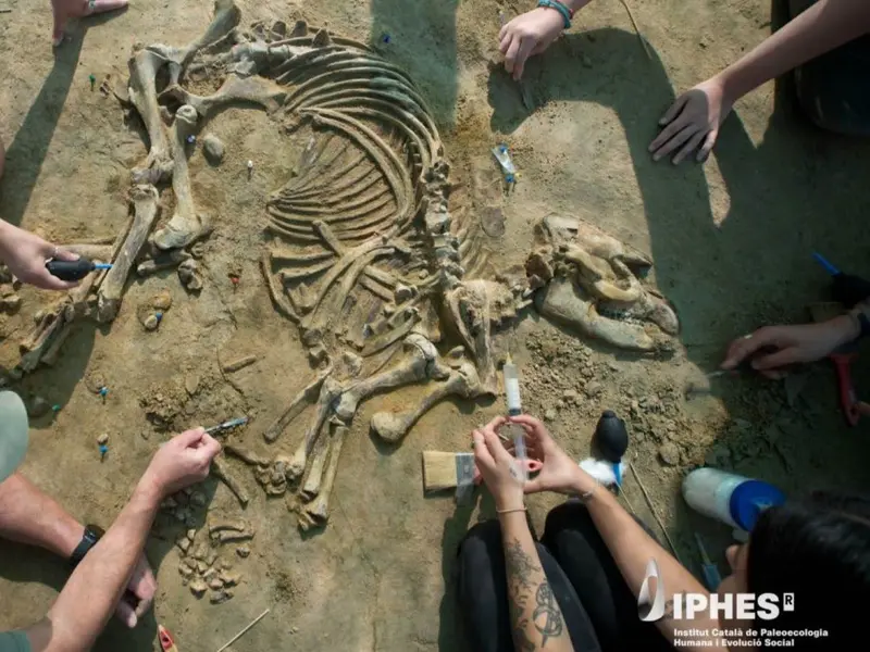 Revelan cría de tapir fósil intacta de hace cuatro millones de años en Girona