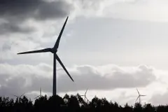 La UE avanza en descarbonización y agiliza proyectos de energías renovables