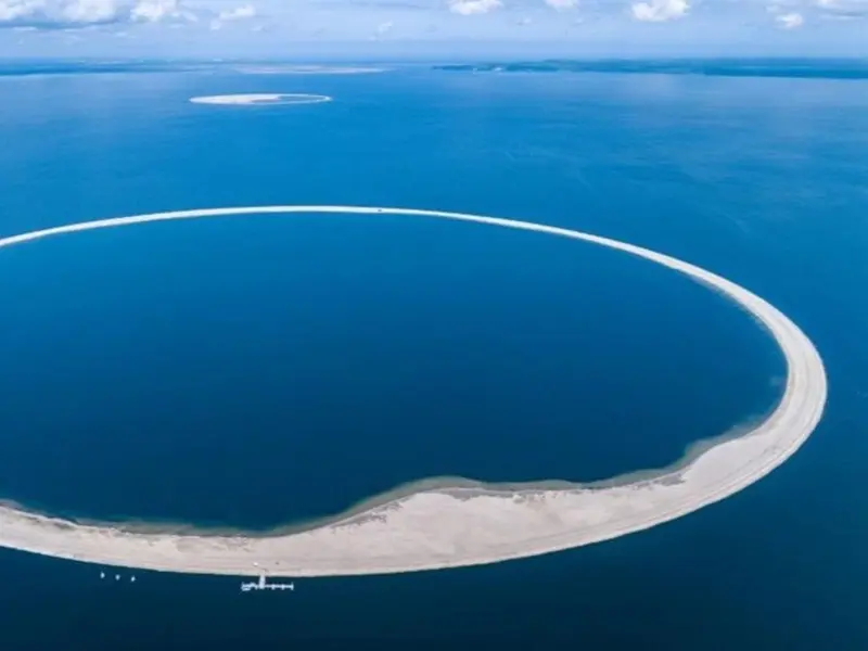 Polonia crea isla artificial que se convierte en refugio para aves raras