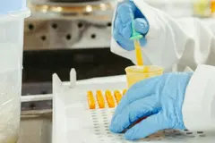 Los residuos de pesticidas prohibidos en alimentos importados generan alarma en la UE