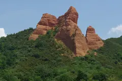 El Bierzo: laboratorio forestal contra plagas y cambio climático