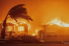 Los incendios forestales devastan zonas ricas según estudio de 2025