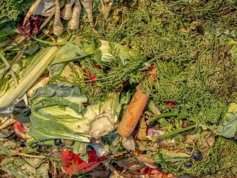 Los residuos hortofrutícolas se convierten en productos sostenibles en Valencia