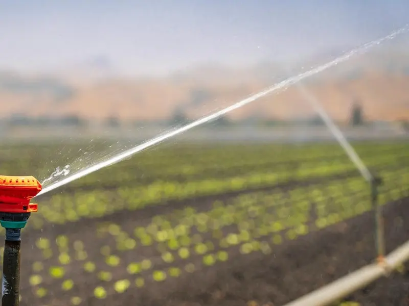 Proyectos en Murcia transforman aguas residuales en fertilizantes sostenibles