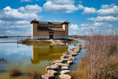 España carece de financiación para su Plan Nacional de Restauración de la Naturaleza