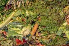 Los residuos hortofrutícolas se convierten en productos sostenibles en Valencia