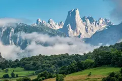 Más de 800.000 euros para conservar los prados en Picos de Europa