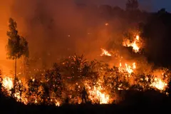 La UE propone 120 millones para la recuperación de España tras incendios forestales