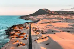 Canarias impulsa cooperación científica para la conservación de su biodiversidad