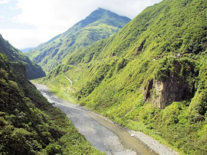 Descubren nueva especie de puercoespín en Ecuador tras 15 años de investigación