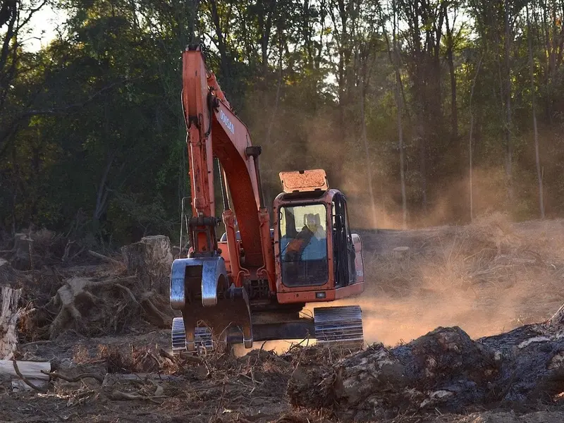 La deforestación global vinculada al consumo europeo de productos como soja y cacao