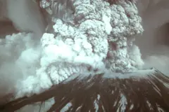 Cómo las tuzas ayudaron a restaurar ecosistemas tras la erupción del Mount St. Helens