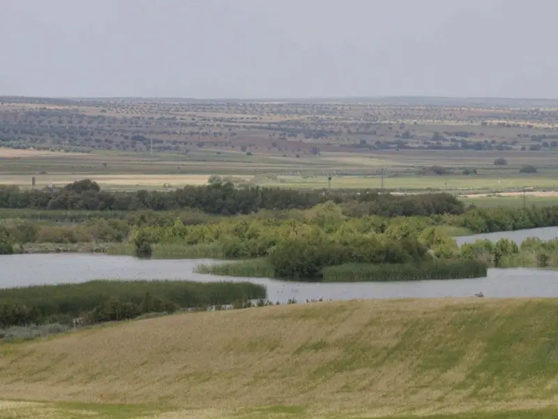 Ecologistas alertan sobre riesgos ambientales de plantas de biometano en Daimiel y Alto Guadiana