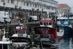 Las regulaciones europeas afectan negativamente la pesca sostenible en Galicia