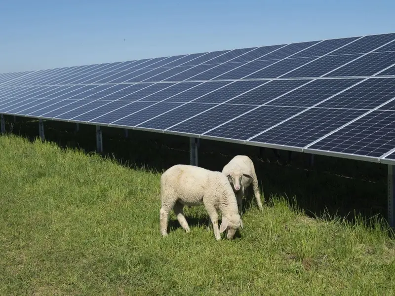 La energía solar fotovoltaica, clave en la lucha contra el cambio climático en España