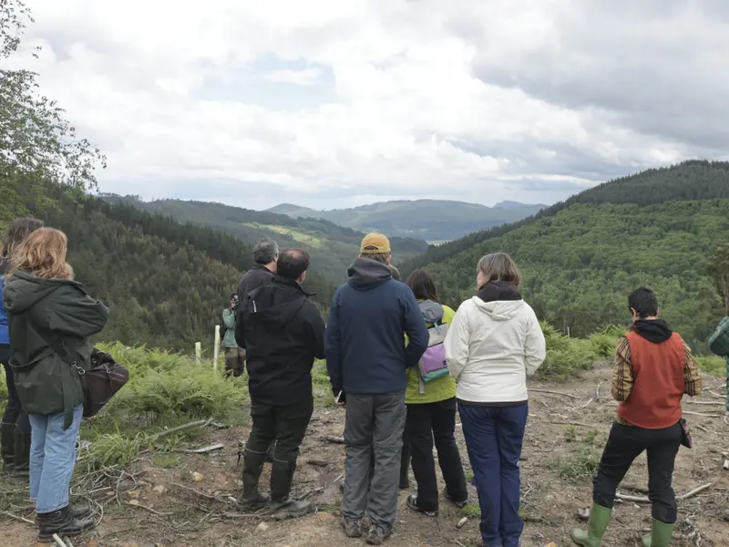 La 'solastalgia' en la memoria oral de Urdaibai evidencia la tristeza por el cambio ambiental