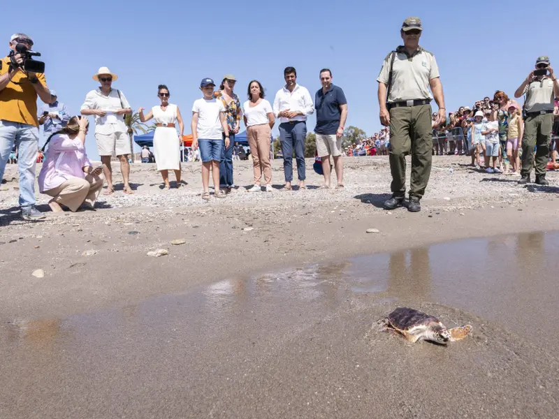 Liberan 27 tortugas bobas en Mojácar tras un año de cuidado en cautividad