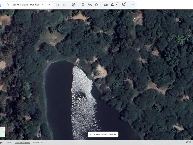 Mueren cientos de peces en un lago de Nueva Delhi por calor extremo y contaminación