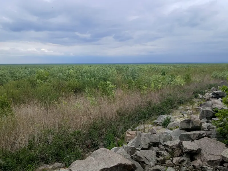 La naturaleza se recupera en el embalse de Kajovka, tres años después del desastre