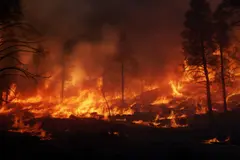 Grandes incendios forestales: un desafío creciente en España y el Mediterráneo