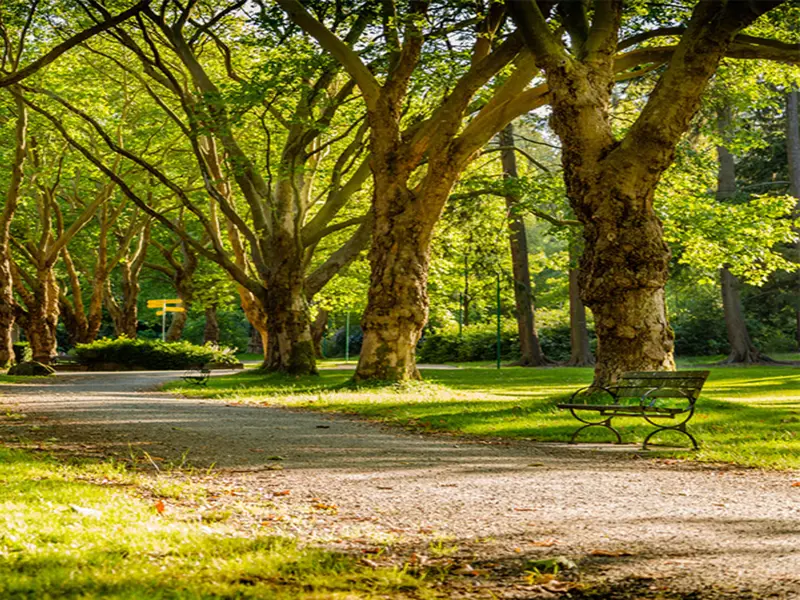 Estrategias urbanas reducen el calor en Barcelona hasta 1,26 °C