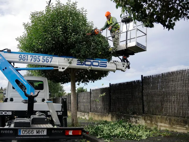 Oleiros reutiliza restos de poda para mejorar sus espacios verdes
