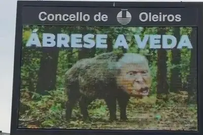 Oleiros relanza su polémica campaña comparando a Trump con un jabalí