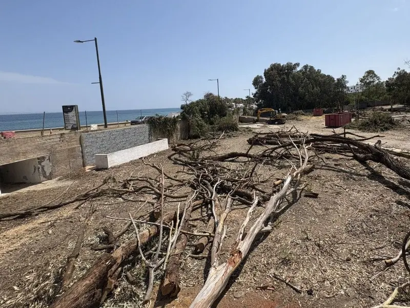 Urgente intervención del Seprona por tala ilegal de árboles en Mojácar en zona protegida