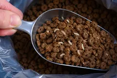 Expertos advierten sobre plagas en pienso para mascotas y su impacto ambiental