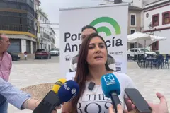 Montávez critica la transición ecológica de Moreno Bonilla por megaplantas solares en Lopera