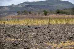 Urgente necesidad de un enfoque interdisciplinario en la acción climática