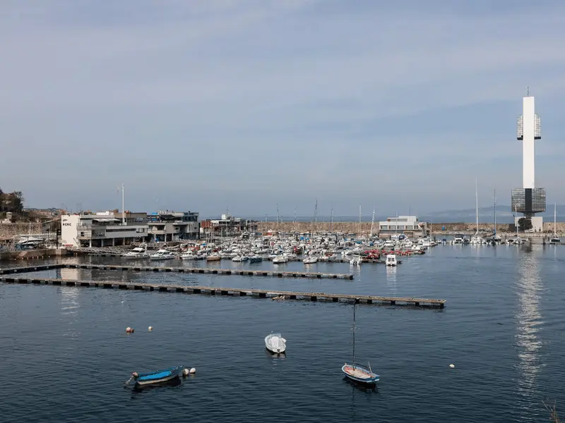 Expertos se reúnen en A Coruña y Oleiros para abordar la biodiversidad marina