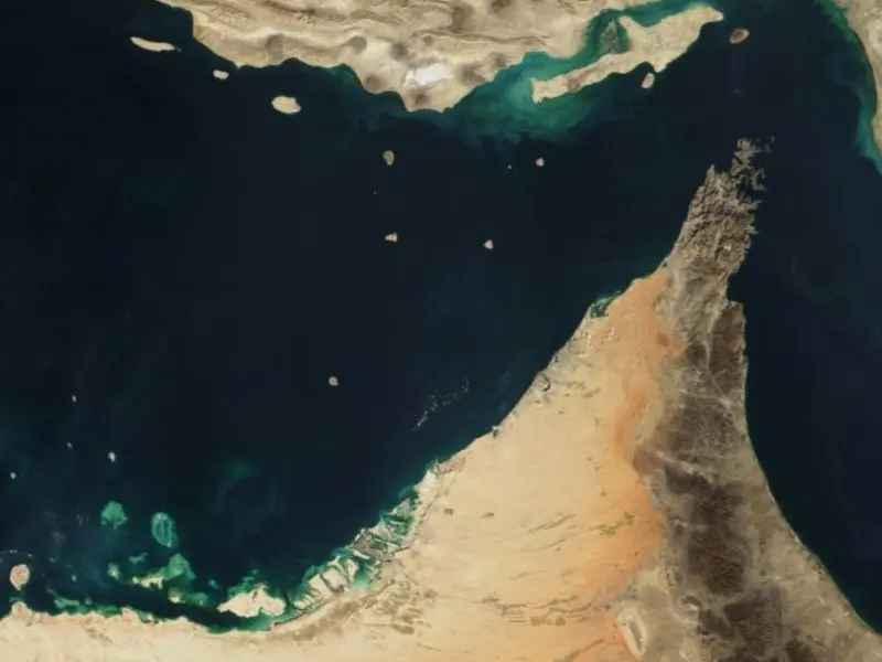 Impacto del cierre en el Estrecho de Ormuz amenaza la vida marina