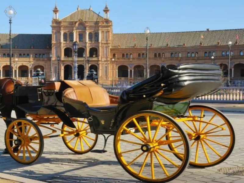 Pacma propone sustituir coches de caballos en Sevilla por calesas eléctricas sostenibles