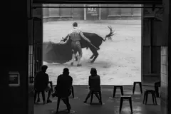 Día Mundial Antitaurino 2026: un debate creciente sobre la tauromaquia y el bienestar animal