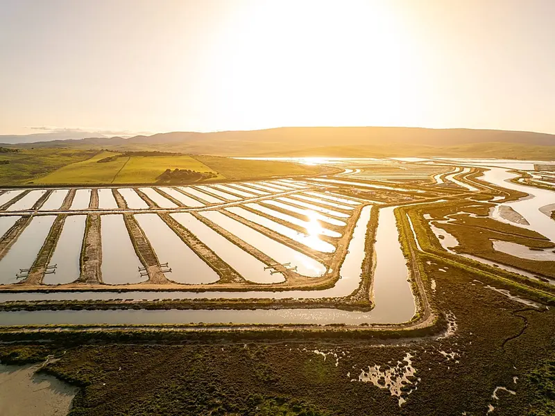 España se convierte en líder mundial en acuicultura sostenible con nueva certificación
