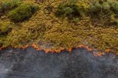 Los incendios forestales en España en 2025: un año devastador