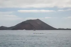 Descubrimientos marinos en Canarias enriquecen la comprensión de la biodiversidad oceánica