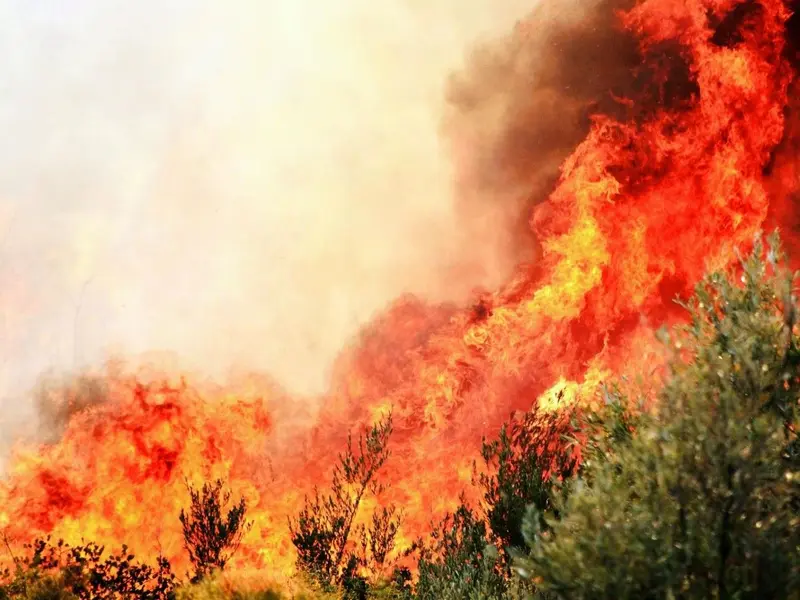 El Niño eleva el riesgo de incendios y ya se han quemado 150 millones de hectáreas en 2026