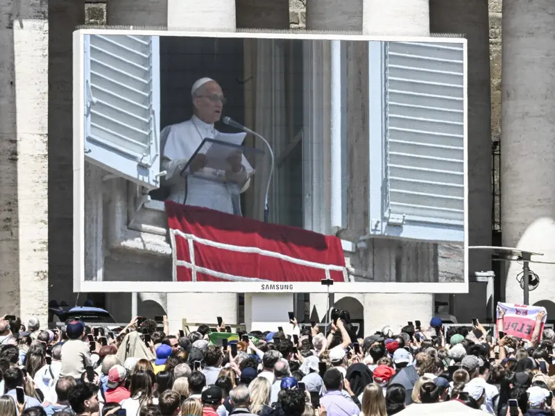 El papa critica el impacto de las guerras en el cuidado del medio ambiente
